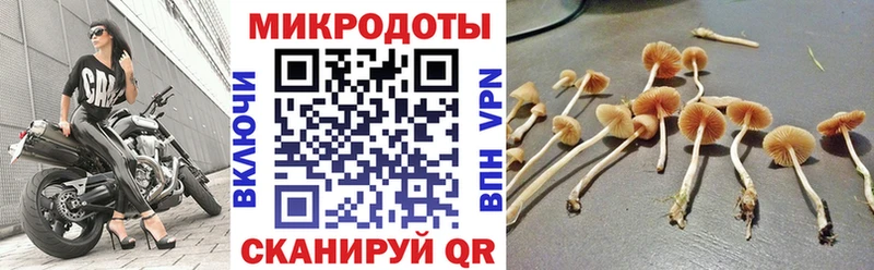 Галлюциногенные грибы мицелий наркота omg ТОР Москва